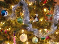 37999NrUsm - Nick and Raaquim come and help decorate our Christmas tree.JPG